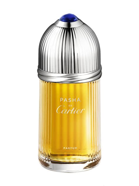 nuovo pasha di cartier|cartier pasha for men.